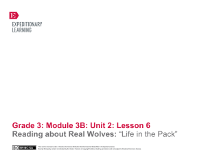 Grade 3 Module 3B, Unit 2, Lesson 6