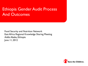 Gender and Diversity Audit Process consisted of 5 main components