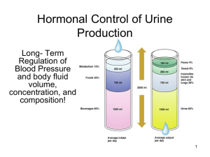 Hormonal Control of Urine Production