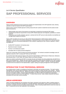 Introduction to Sap Profesional Services