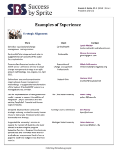 Examples of Experience Strategic Alignment