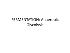 FERMENTATION: Anaerobic Glycolysis