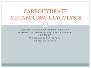 carbohydrate metabolism: glycolysis