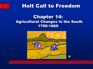 Holt Call to Freedom Chapter 14: Agricultural Changes in the South