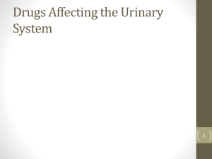 Drugs Affecting the Urinary System