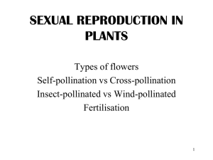 2 Pollination and Fertilisation Extra Notes