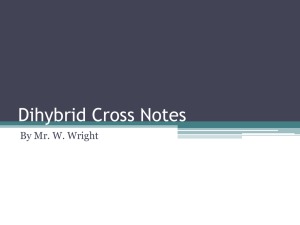 Dihybrid Cross Notes