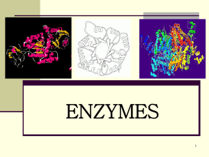 ENZYMES