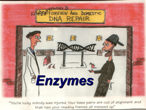 Enzymes