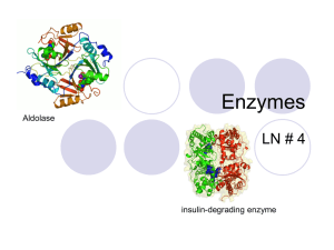 LN #4 Enzymes