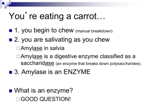 Enzymes - TeacherWeb