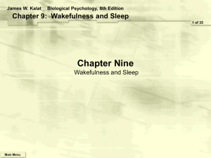 Wakefulness___Sleep
