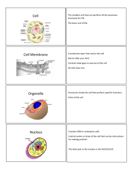 Cells & Organelles Name