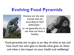 Evolving Food Pyramids
