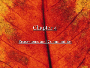 04 Ecosystems & Communities