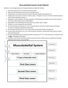 Musculoskeletal System Study Flipbook