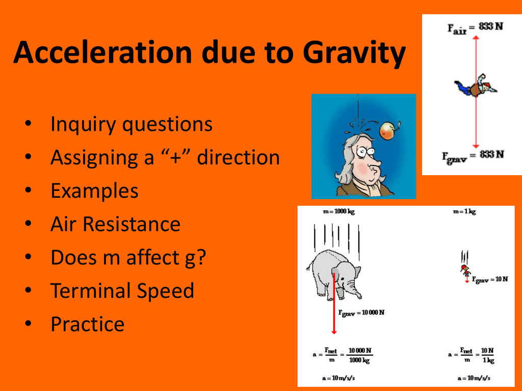 velocity acceleration and gravity lab report