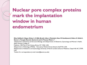 Nuclear pore complex proteins mark the implantation window in