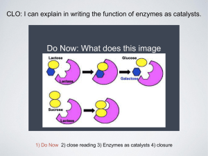 ENZ 4 - catalysts