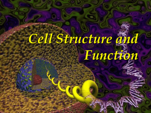 Cell Structure and Function