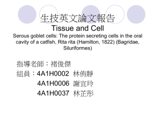 ******** Tissue and Cell Serous goblet cells: The protein secreting