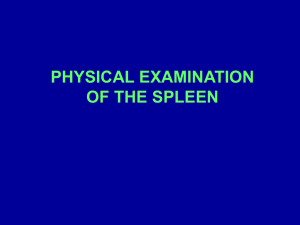 examination of spleen
