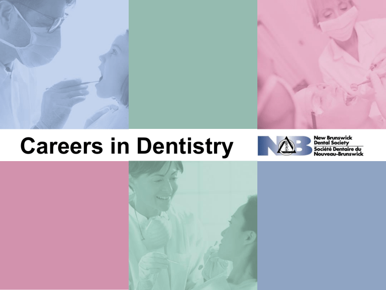 Careers in Dentistry ( PPT ) New Brunswick Dental Society