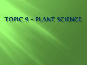 Topic 9 * Plant Science
