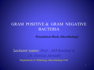 6- Gram_positive_&_Gram_negative_bacteria
