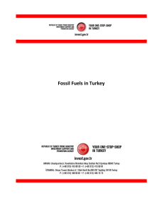 Fossil Fuels in Turkey