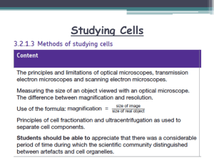 LI: To understand what cell fractionation is and be able to interpret
