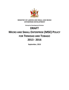 draft - Ministry of Labour and Small Enterprise Development