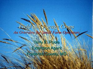 Field and Forage Crops An Overview for Small Farm Operators