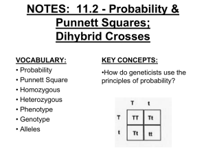 NOTES: 11.2 - Probability & Punnett Squares