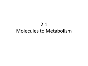 2.1 Molecules to Metabolism - NOTES