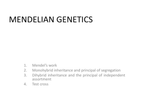 Chap 1 – MENDELIAN GENETICS