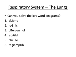 Draw me a mega quick sketch of what you think the lungs look like!