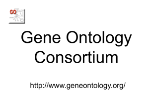 2004-07_EBI_jclark - Gene Ontology Consortium