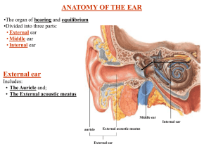 ear almarafa