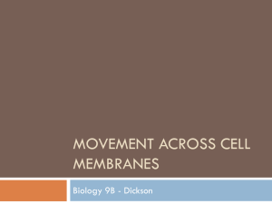 Movement Across cell Membranes
