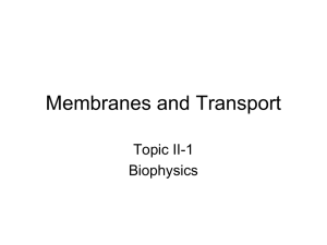 Membranes and Transport Slides