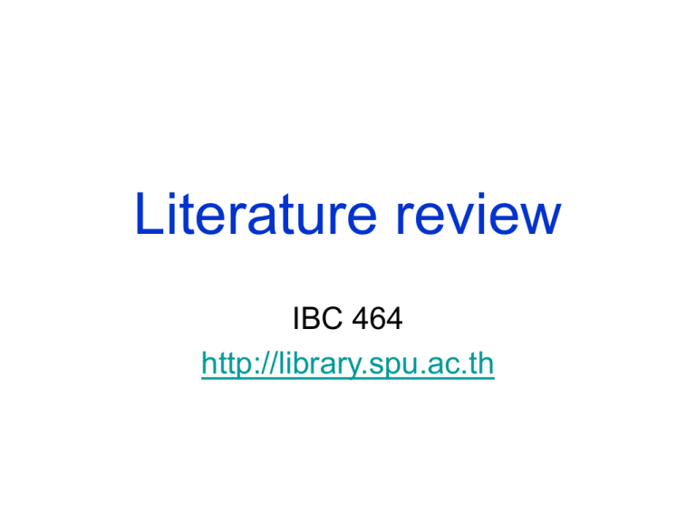 literature review international business