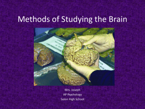 Methods of Studying the Brain