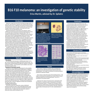 B16 F10 melanoma: an investigation of genetic