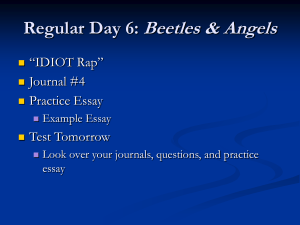 Regular Day 6: Beetles & Angels