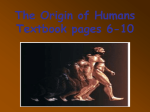 PPT: Origins of Man - HRSBSTAFF Home Page