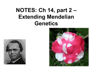Ch 14 Notes – Extending Mendelian Genetics