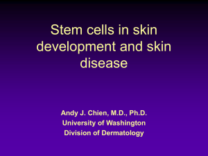 Stem cells and gene therapy in dermatology
