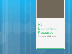 P3- Biochemical Processes