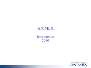 Animex Brand Portfolio - Hessbusinessconsulting.info